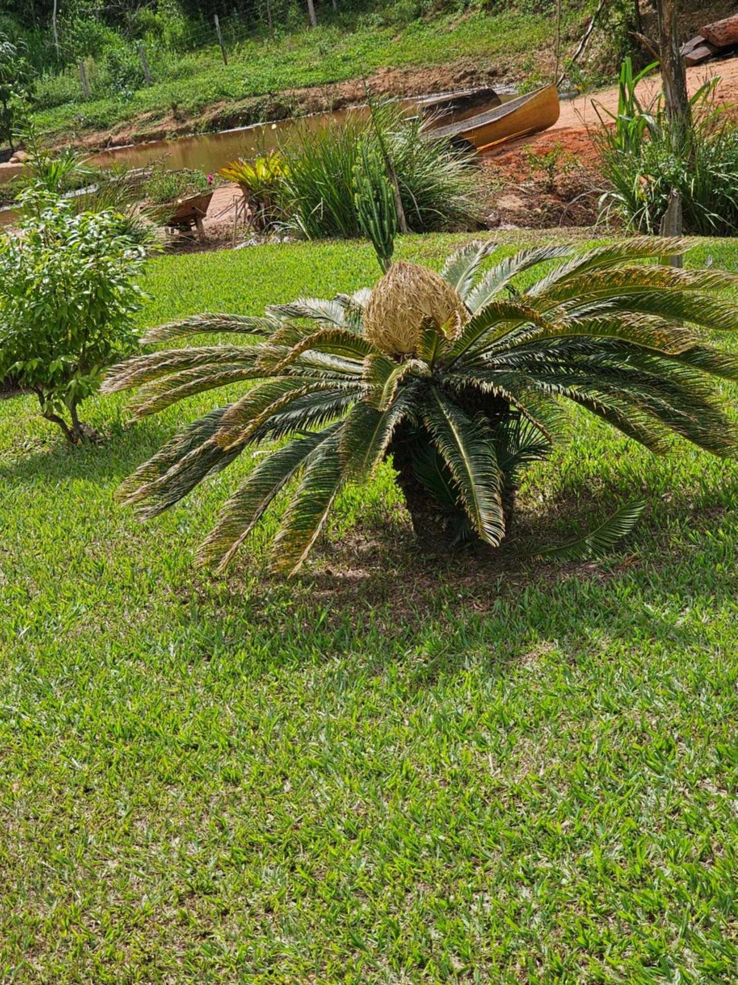 Sitio Reis Membeca Villa Paraiba do Sul Exterior photo